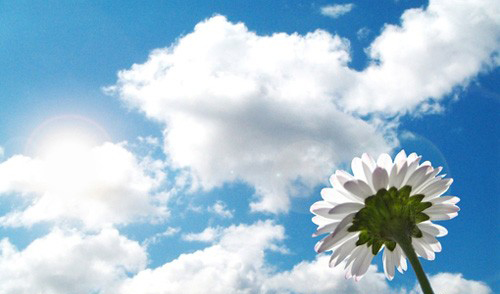 “八星”与“八方”