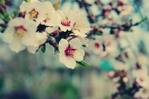 桃花局招来恋爱运