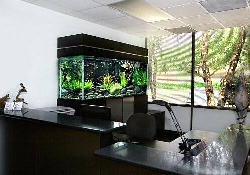 鱼缸的摆放风水